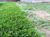 M3 Artificial Grass & Turf image 4